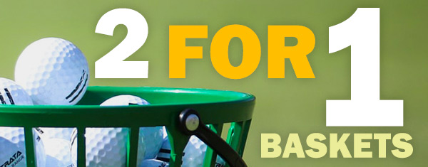 Closeup of golf ball basket