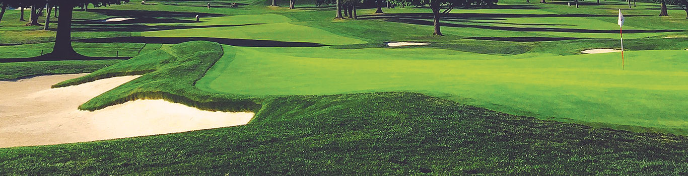 Wide angle view of greenside bunker